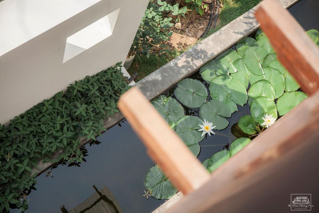 The Home Chiangmai Luxury Guesthouse Chiang Mai Eksteriør billede