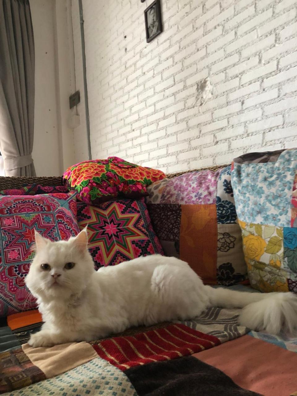 The Home Chiangmai Luxury Guesthouse Chiang Mai Eksteriør billede